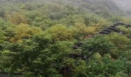 喀纳斯景区爆料视频最新,神秘湖泊与原始森林的绝美邂逅